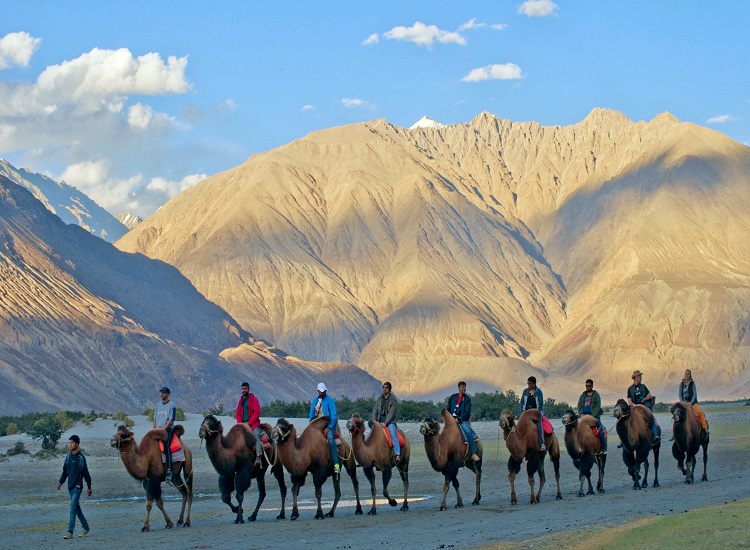 ladakh tourism packages